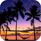 Sunset Backgrounds آئیکن