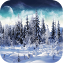 Winter Pictures APK