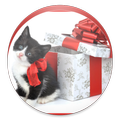 Free Christmas Wallpapers