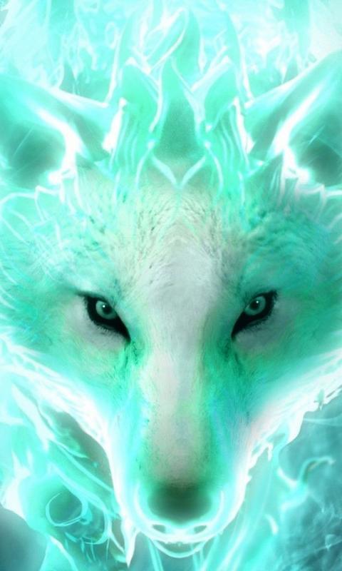 Featured image of post Neon Tier Coole Hintergrundbilder Fuchs 25 bezaubernde hintergrundbilder f r dein handy die dich zum l cheln bringen