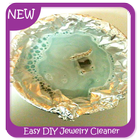 Easy DIY Jewelry Cleaner icono