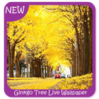 Ginkgo Tree Wallpaper آئیکن