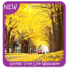Ginkgo Tree Wallpaper ikon