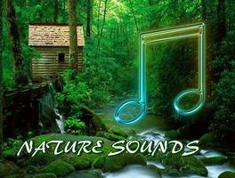Dźwięki przyrody plakat