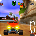 Crash adventure Racing team icon