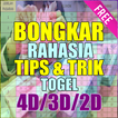 Bongkar Rahasia Togel