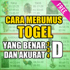 Cara Merumus Togel Yang Benar icône