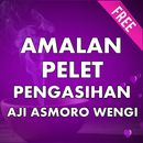 PELET ASIHAN AJI ASMORO WENGI APK