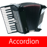 Real Accordion Play