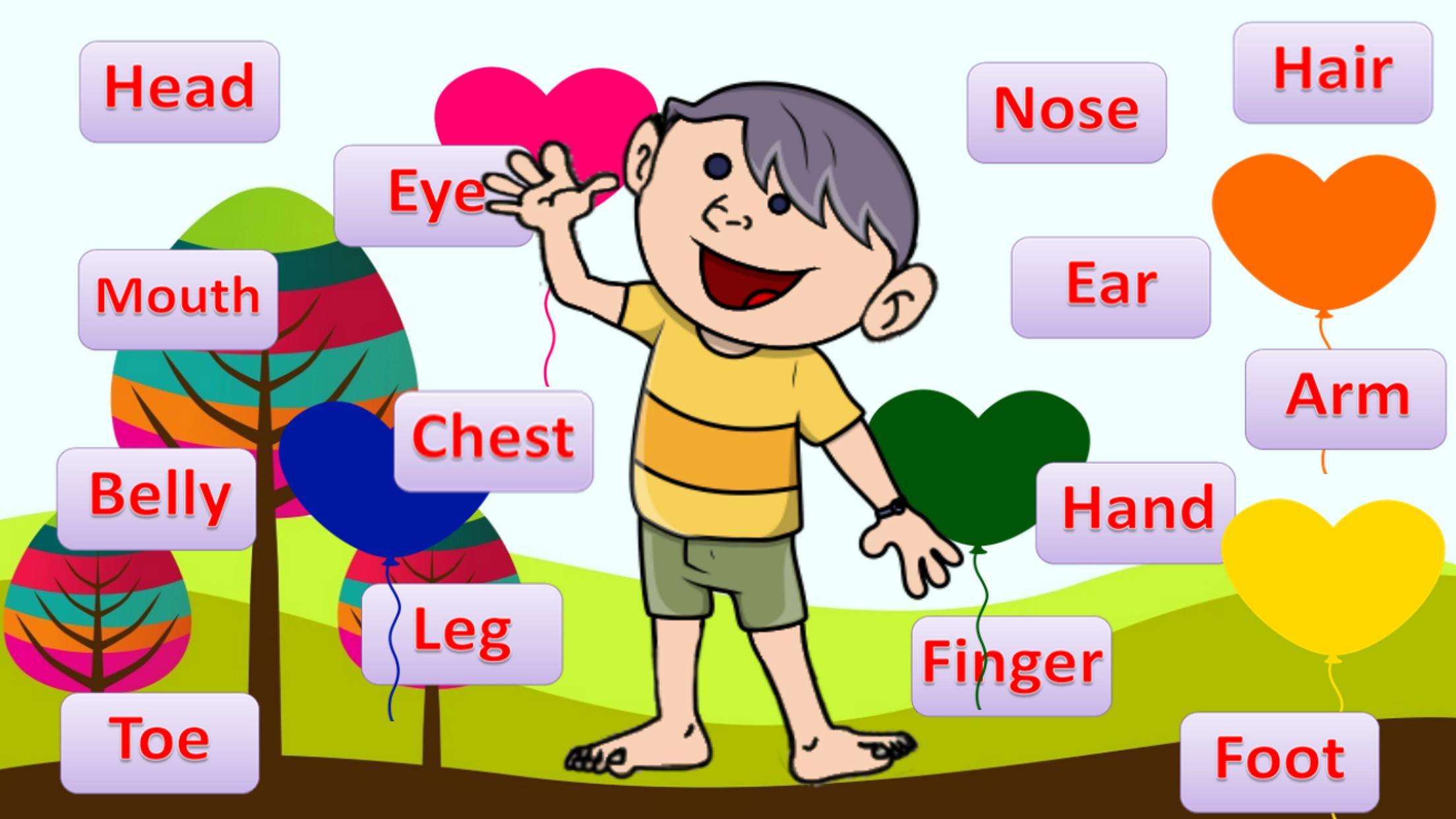 Learn Body Parts English For Android Apk Download