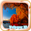 Autumn Leaves Live Wallpaper