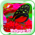 Butterfly Live Wallpaper আইকন