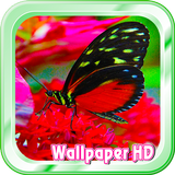 Butterfly Live Wallpaper icône