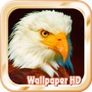 Melhores Eagles live wallpaper APK