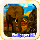 Elephant Live Wallpaper آئیکن