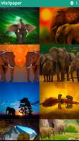 Elephant Live Wallpaper اسکرین شاٹ 1