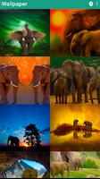 Keren Elephant Live Wallpaper screenshot 1