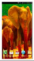 Keren Elephant Live Wallpaper screenshot 3