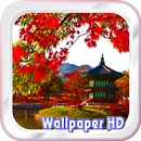 Bonito coreano Wallpaper HD APK