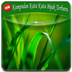 1200 Kata Kata Bijak "TOP" APK
