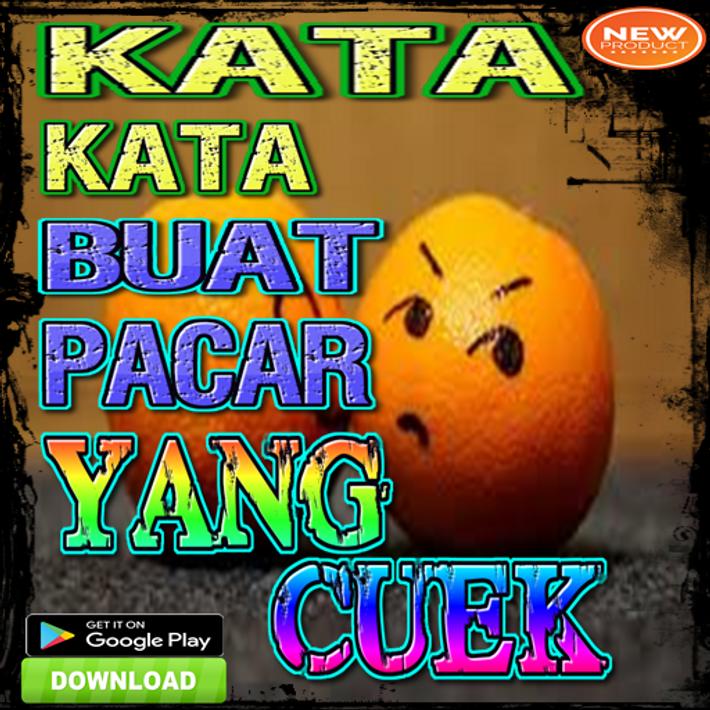 Kata Kata Buat Pacar  Yang  Cuek  for Android APK Download