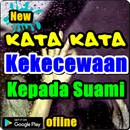 Kata Kata Kekecewaan Kepada Suami APK