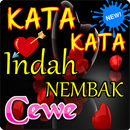 KATA KATA INDAH NEMBAK CEWEK PALING ROMANTIS APK