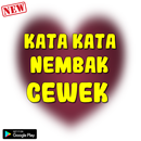 kata kata nembak cewek Terbaru APK