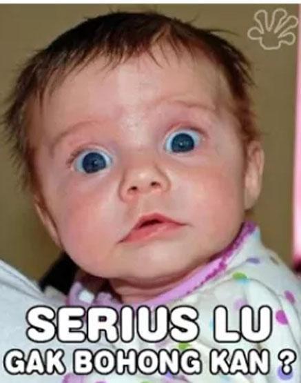 78+ Gambar Babi Dan Kata Lucu Paling Hist 78+ Gambar Babi Dan Kata Lucu Paling Hist