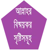 আল্লাহর বিষ্ময়কর সৃষ্টিসমূহ