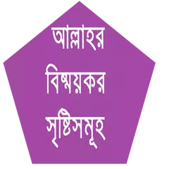 আল্লাহর বিষ্ময়কর সৃষ্টিসমূহ