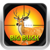 Big Buck Hunter Sniper Shoot APK