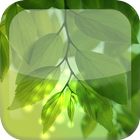 Natural Leaf S5 Live Wallpaper icône