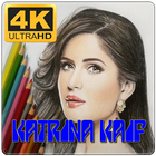 Katrina-Kaif Wallpaper icône