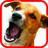 Animal Sound Board Extreme APK