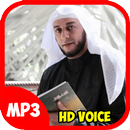 Ceramah Syeikh Ali Jaber mp3 APK