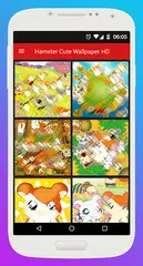 Hamster Cute Wallpaper HD APK download
