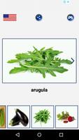 Vegetable Name capture d'écran 2