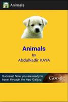 Animals Affiche