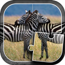Zebras Puzzle Game APK