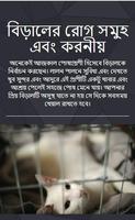 বিড়ালের রোগ সমুহ এবং করনীয় (Cat Diseases) poster