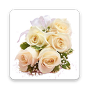 APK Prom Night Countdown