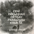 Омир Жолы  - Казакша андер - Казахские песни APK