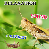 Cricket Nature Sounds icon