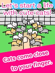 Play with Cats APK download