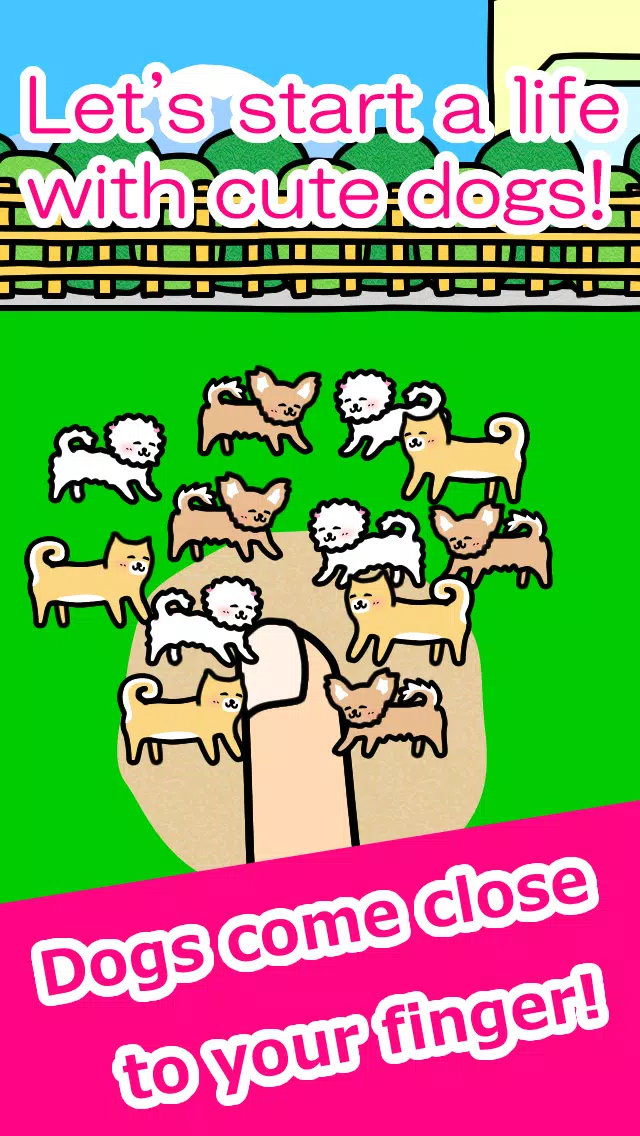 Play with Dogs – relaxing game