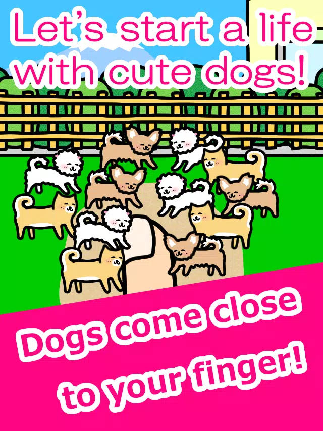 Play with Dogs – relaxing game
