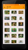 Picture Search and Share 海報