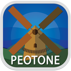 Village of Peotone icône