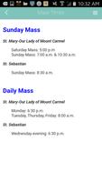 St. Mary-Mount Carmel IL скриншот 2